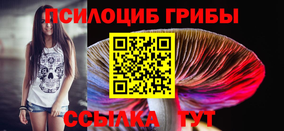 Псилоцибиновые грибы мухоморы Североморск