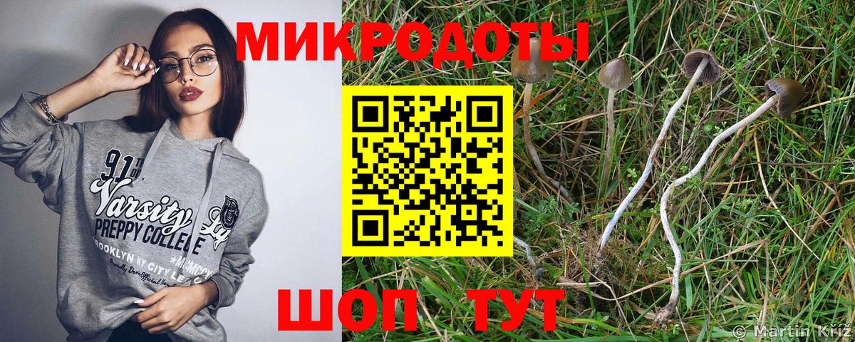 Североморск  Псилоцибиновые грибы Cubensis  Вход с VPN 